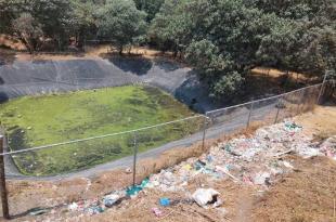 La clausura derivó de un reporte sobre más de 100 ejemplares de fauna doméstica.