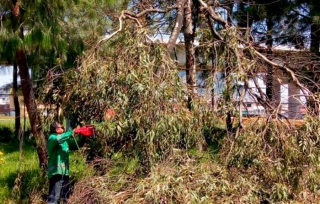 Intensifica Toluca labores de limpieza en Parque Alameda 2000