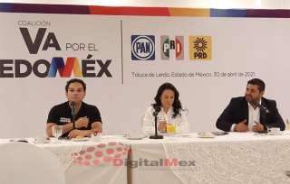 Alejandra del Moral Vela, dirigente estatal del PRI, dijo que su objetivo es dar resultados