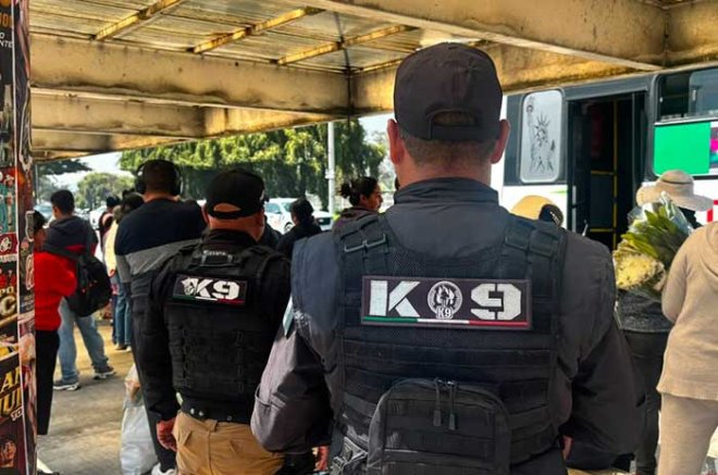 Video: Despliegan operativo con 150 elementos en mercado Palmillas