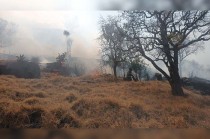 El Ayuntamiento de Toluca informó que no se reportan personas lesionadas, aunque exhortó a la población a mantenerse informada a través de canales oficiales.