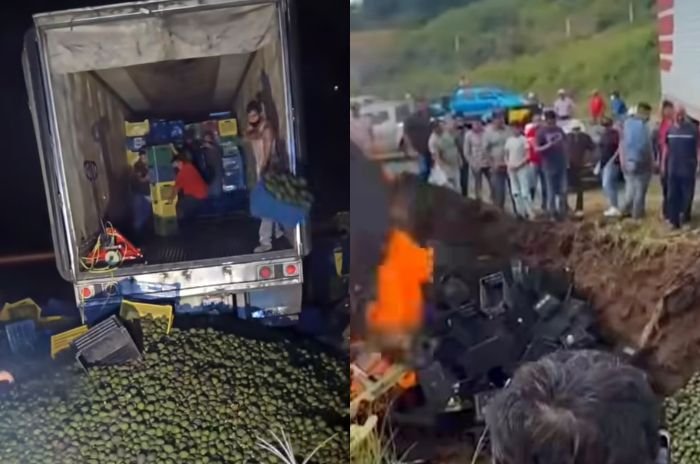 Productores aguacateros destruyeron 52 toneladas de fruta procedente de Jalisco, Colima y Nayarit en Peribán, Michoacán.