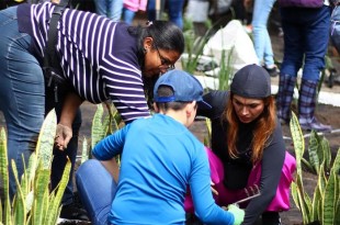 Las jornadas se realizarán en distintas localidades como Bosques de La Herradura, La Herradura, Lomas de la Herradura y Zacamulpa, entre otras.