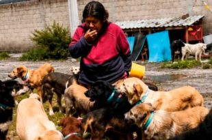 Es una mujer en situación de calle que cuida a más de 50 perros rescatados con recursos limitados.